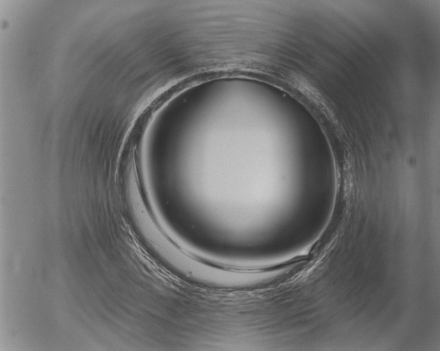 X0000054400876200507291115