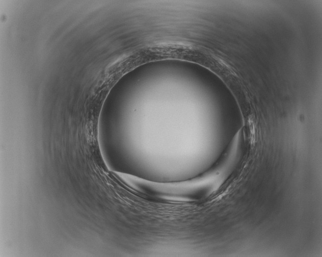 X0000054400965200507291113