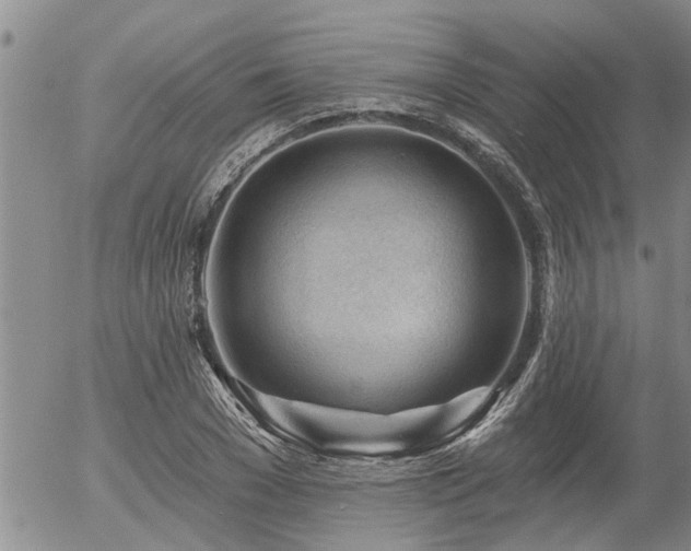X0000054400977200507291113