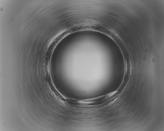 X0000054401018200507291112