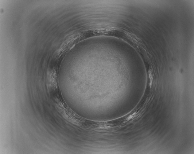X0000054401060200507291111