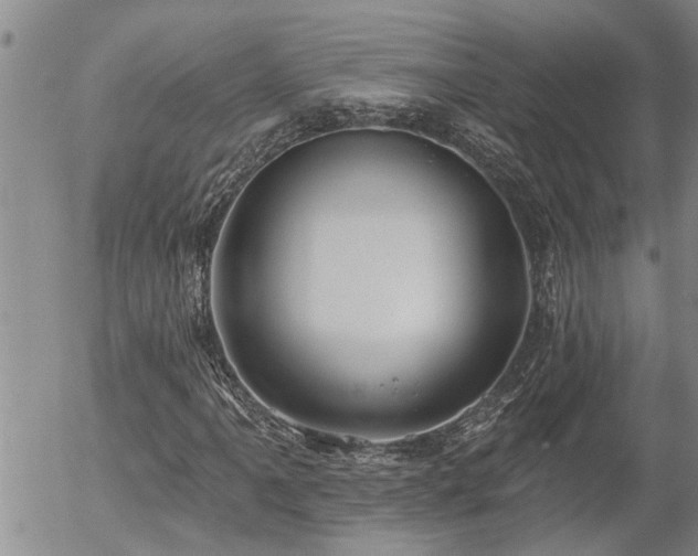 X0000054401061200507291111