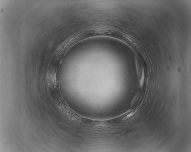 X0000054401155200507291110