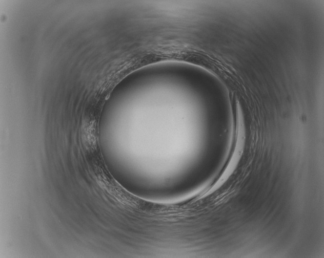 X0000054401156200507291110