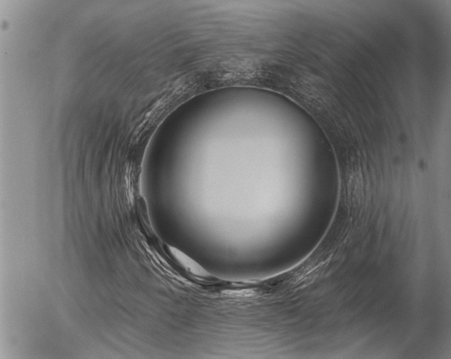 X0000054401250200507291108