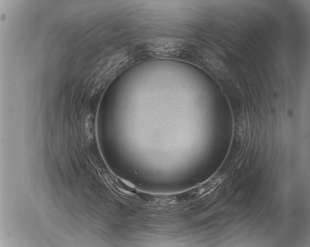 X0000054401346200507291107
