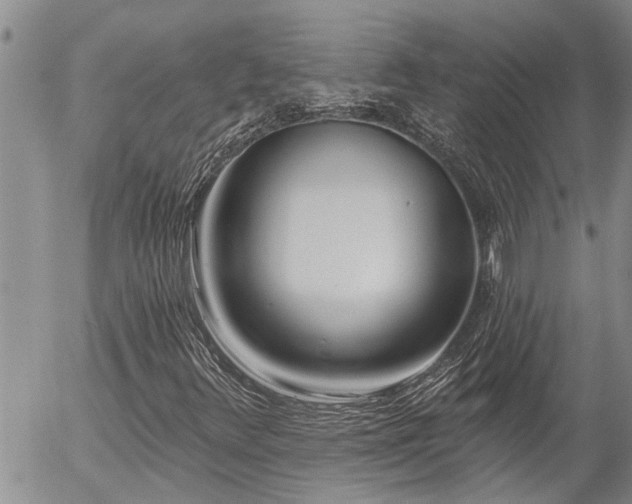 X0000054401348200507291107