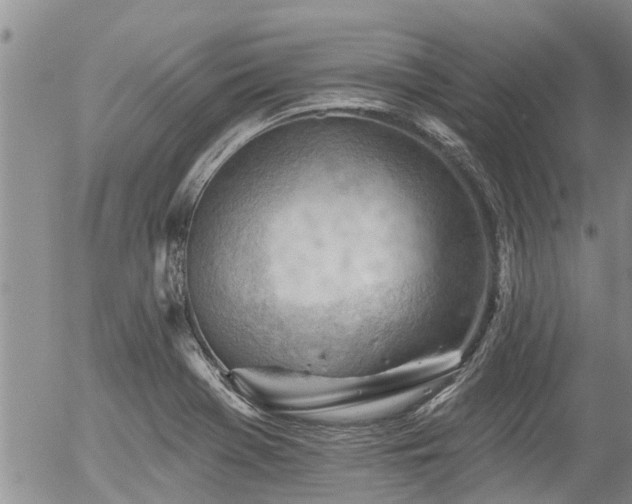 X0000054401369200507291106