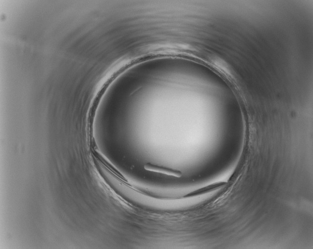 X0000054401384200507291106
