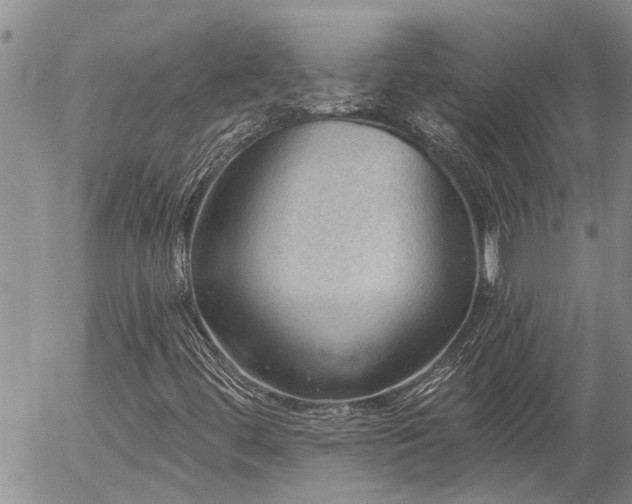 X0000054401444200507291105