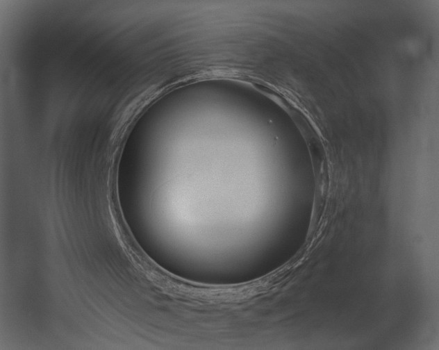 X0000054400001200508011335