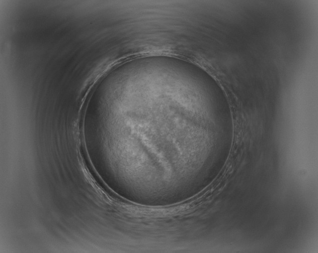 X0000054400002200508011335