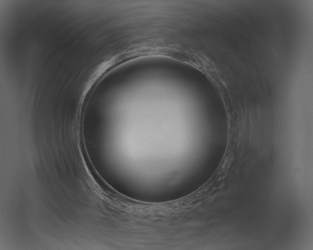 X0000054400003200508011335