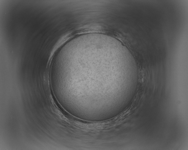 X0000054400004200508011335