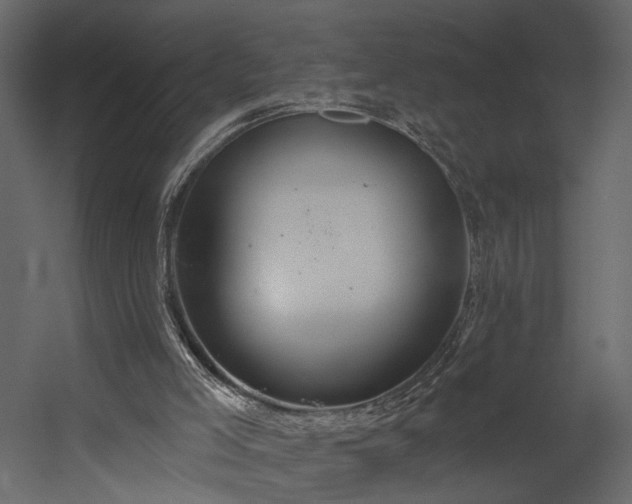 X0000054400005200508011334