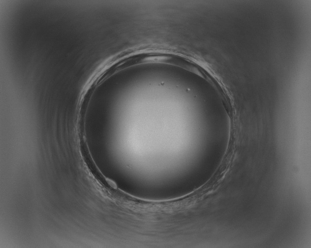 X0000054400007200508011334