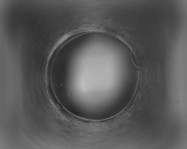 X0000054400008200508011334