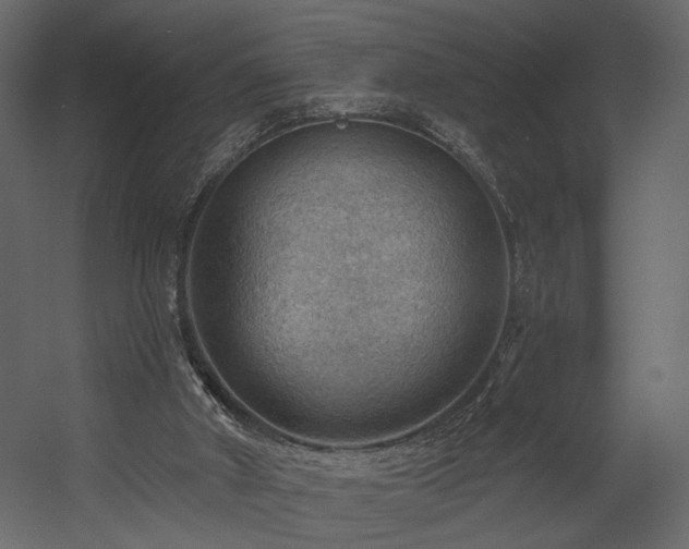 X0000054400010200508011334