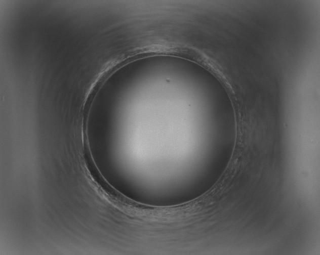 X0000054400011200508011334