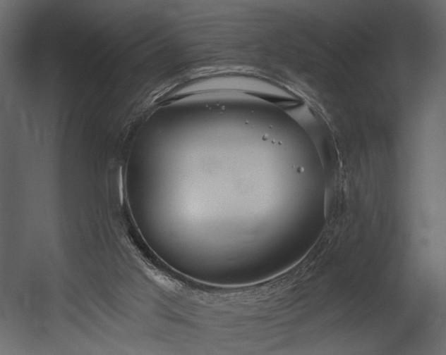 X0000054400013200508011334