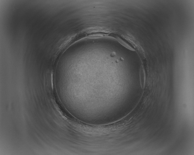 X0000054400014200508011334