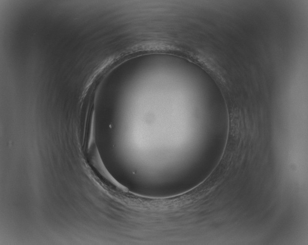 X0000054400015200508011334