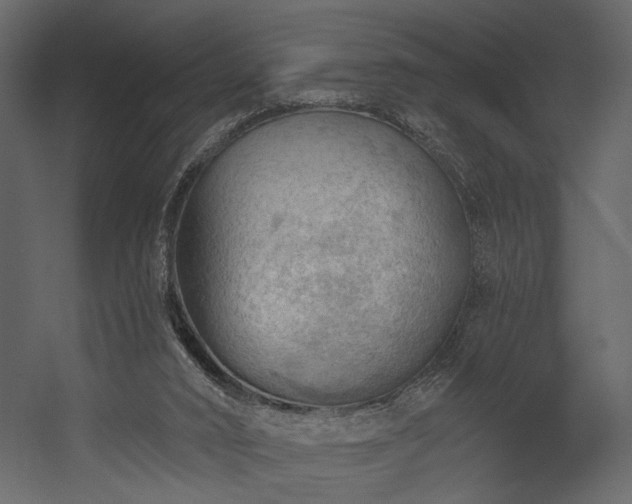 X0000054400016200508011334