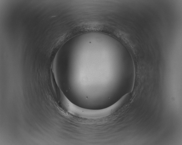 X0000054400017200508011334