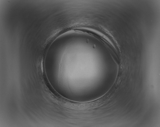 X0000054400019200508011334