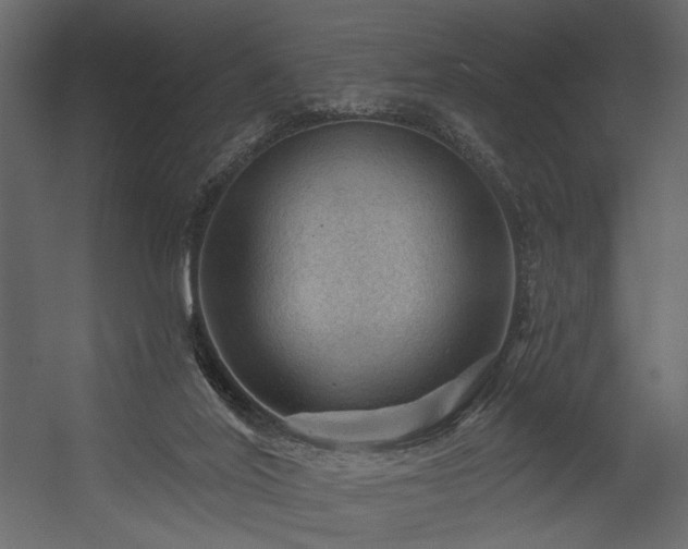 X0000054400020200508011334