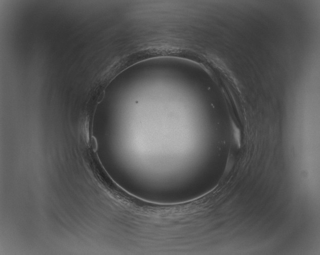 X0000054400021200508011334