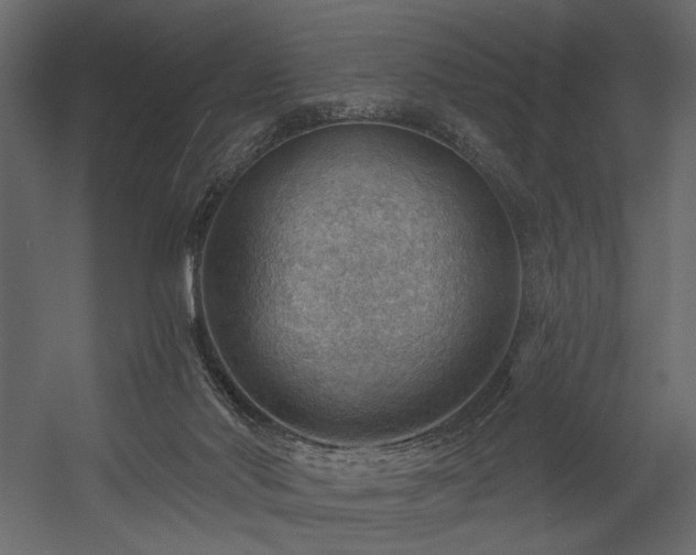 X0000054400022200508011334