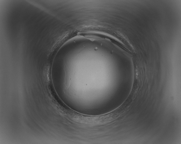 X0000054400023200508011334