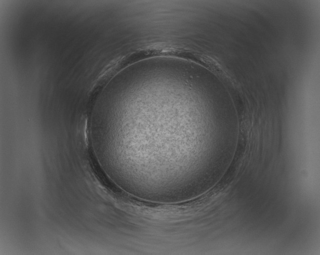 X0000054400024200508011334