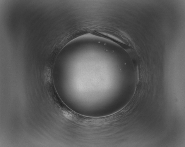 X0000054400025200508011334