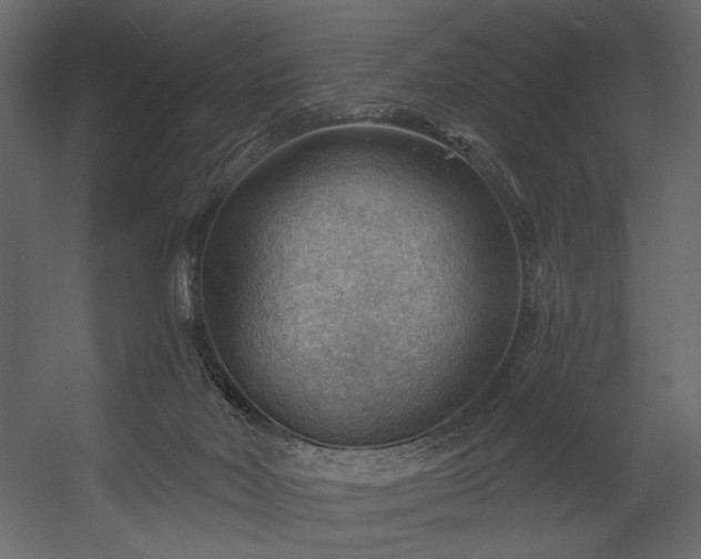 X0000054400026200508011334