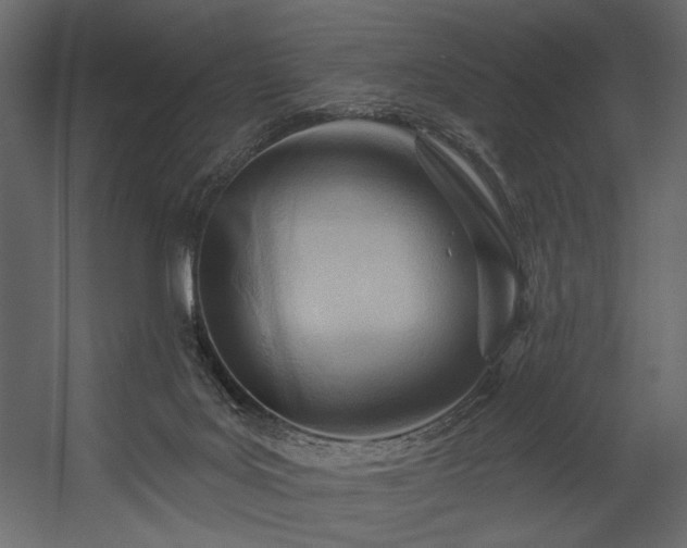 X0000054400027200508011334