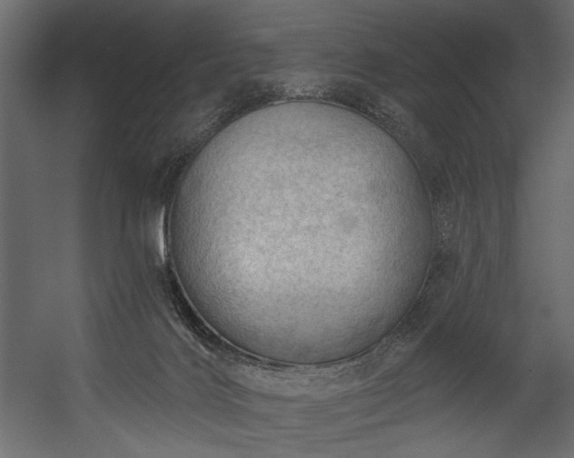 X0000054400028200508011334