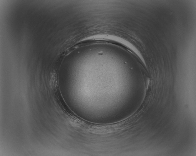 X0000054400029200508011334