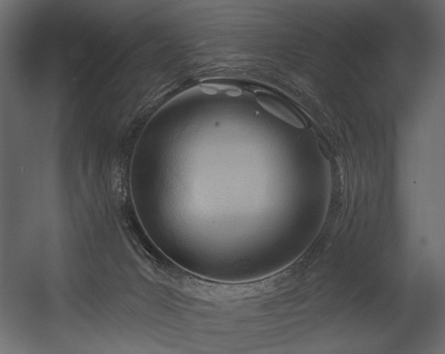 X0000054400031200508011334