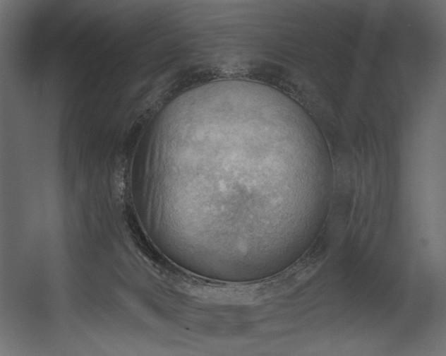 X0000054400032200508011334