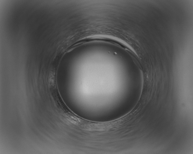 X0000054400033200508011334