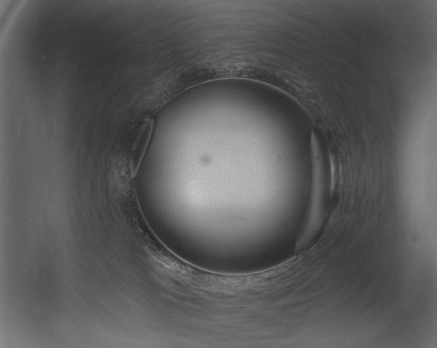 X0000054400037200508011334