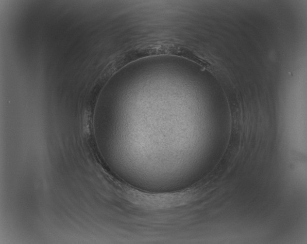 X0000054400038200508011334