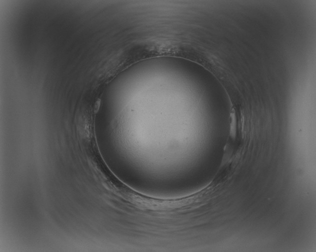 X0000054400039200508011334