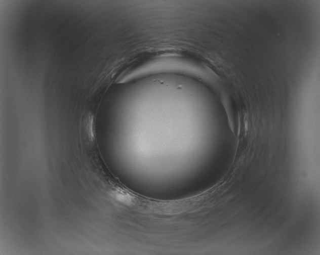 X0000054400041200508011334