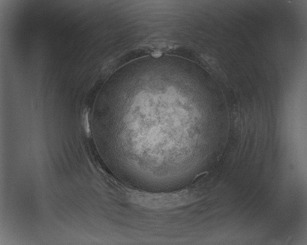 X0000054400042200508011334