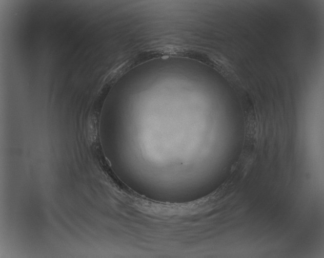 X0000054400043200508011334