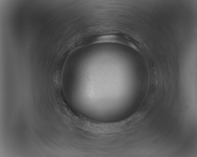 X0000054400044200508011334