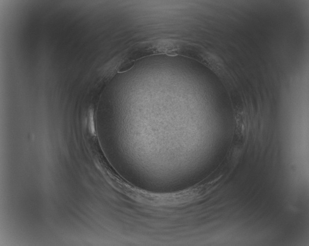 X0000054400046200508011334